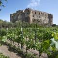Castello Aragonese