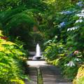 Giardini La Mortella