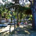 Villa Arbusto
