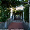 Villa Arbusto