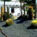 Giardini Ravino